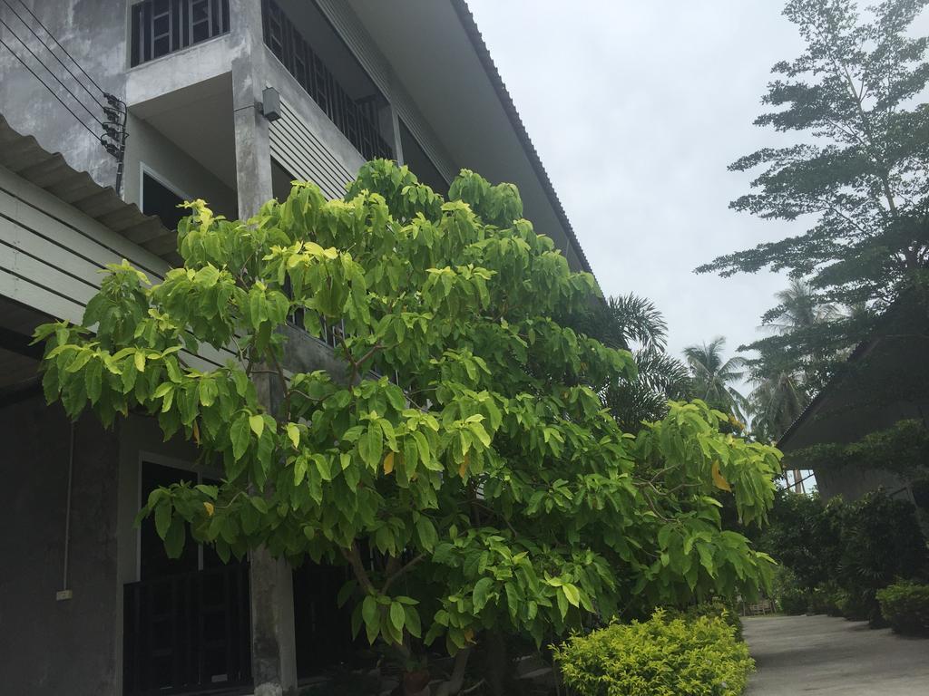 Baan Suan Ta Hotel Ko Tao Luaran gambar